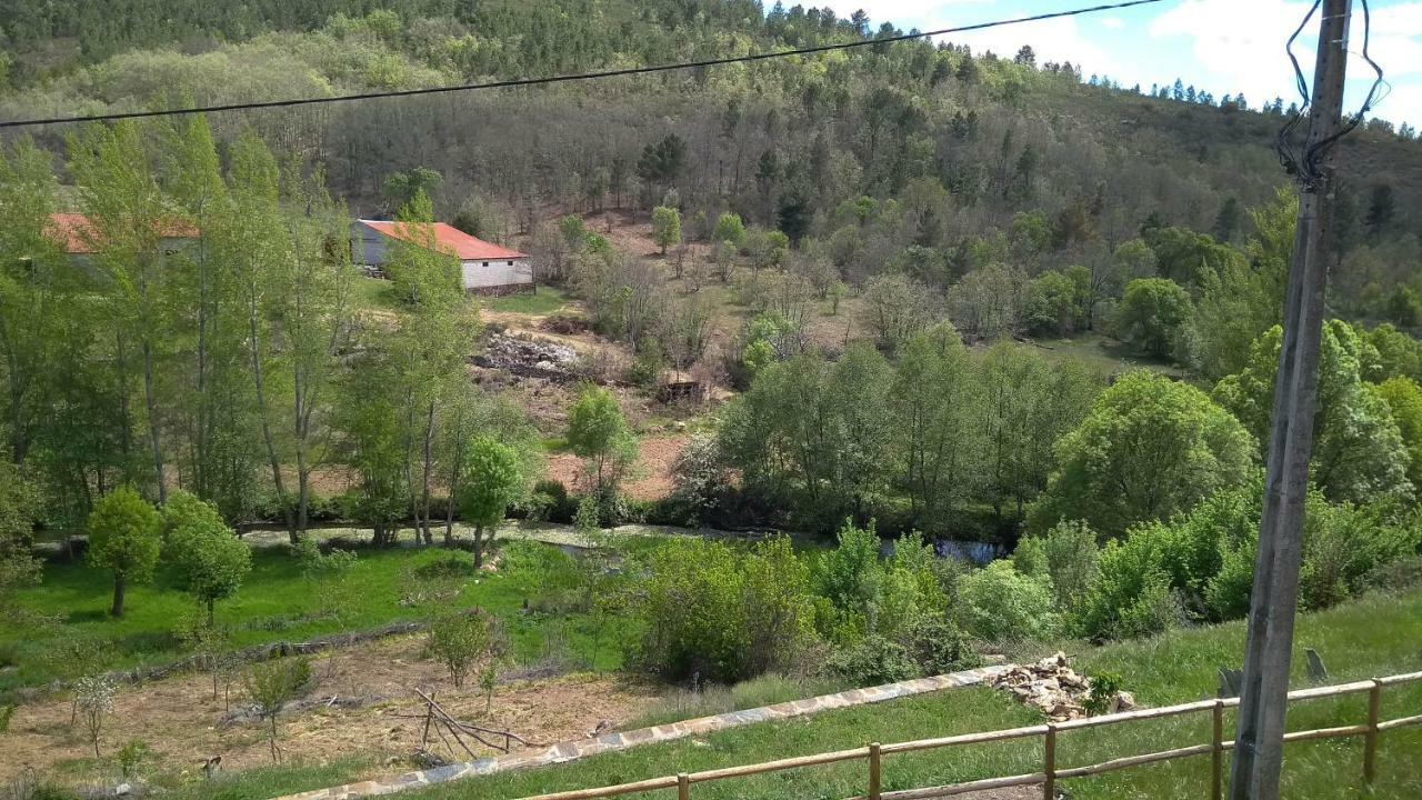 Serapicos House Bragança Esterno foto